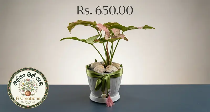 Royal Heritage Planter